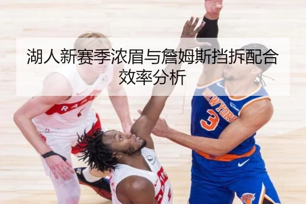 湖人新赛季浓眉与詹姆斯挡拆配合效率分析 - douqiu